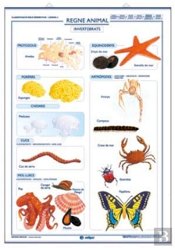 Bertrand.pt - Invertebrats Vertebrats