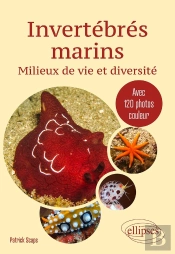 Invertébrés Marins : Milieux De Vie Et Diversité
