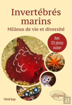 Bertrand.pt - Invertébrés Marins : Milieux De Vie Et Diversité