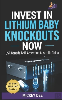 Bertrand.pt - Invest In Lithium Baby Knockouts Now
