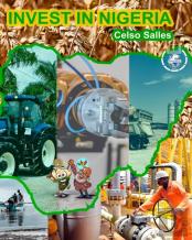 Invest In Nigeria - Celso Salles
