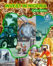 Invest In Nigeria - Celso Salles