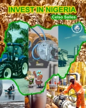 Invest In Nigeria - Celso Salles
