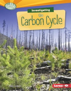 Bertrand.pt - Investigating The Carbon Cycle
