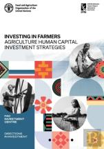 Investing In Farmers