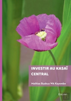 Bertrand.pt - Investir Au Kasaï Central