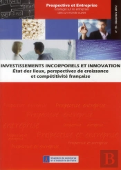 Investissements Incorporels Et Innovation - Etat Des Lieux, Perspective De Croissance Et Competitivi