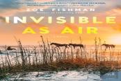 Invisible As Air