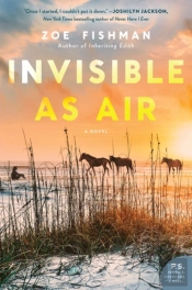 Invisible As Air