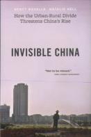 Invisible China