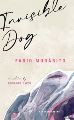 Bertrand.pt - Invisible Dog