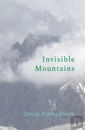 Invisible Mountains