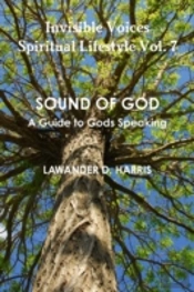 Invisible Voices Spiritual Lifestyle Vol.7 Sound Of God