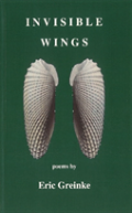 Invisible Wings