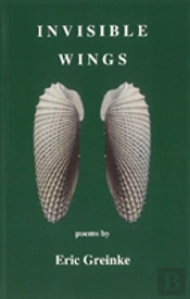 Invisible Wings