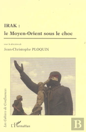 Irak : Le Moyen-Orient Sous Le Choc