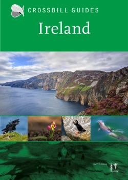 Bertrand.pt - Ireland