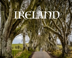 Bertrand.pt - Ireland