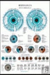 Iridiologia Poster