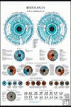 Bertrand.pt - Iridiologia Poster