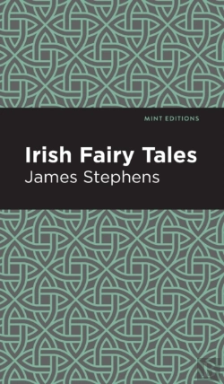 Bertrand.pt - Irish Fairy Tales