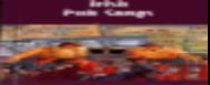 Irish Pub Songs