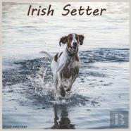 Irish Setter Calendar 2022