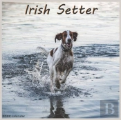 Irish Setter Calendar 2022