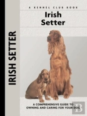 Irish Setter