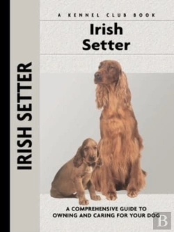 Bertrand.pt - Irish Setter