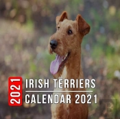 Irish Terriers Calendar 2021