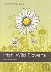 Irish Wild Flowers