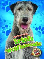 Irish Wolfhounds