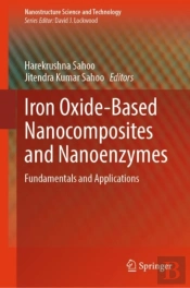 Iron Oxide-Based Nanocomposites And Nanoenzymes