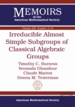 Irreducible Almost Simple Subgroups Of Classical Algebraic Groups