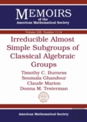Irreducible Almost Simple Subgroups Of Classical Algebraic Groups