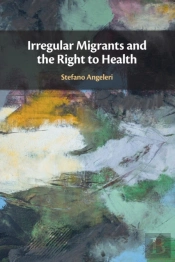 Irregular Migrants And The Right To Health