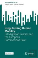 Irregularising Human Mobility