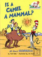 Is A Camel A Mammal?