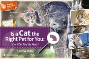 Is A Cat The Right Pet For You