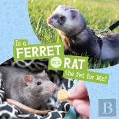 Is A Ferret Or A Rat The Pet For Me?