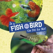 Is A Fish Or A Bird The Pet For Me?