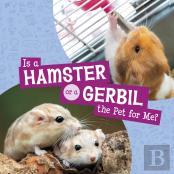 Is A Hamster Or A Gerbil The Pet For Me?