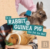 Is A Rabbit Or A Guinea Pig The Pet For Me?