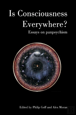 Bertrand.pt - Is Consciousness Everywhere?