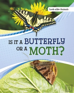 Bertrand.pt - Is It A Butterfly Or A Moth?