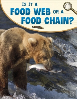 Bertrand.pt - Is It A Food Web Or A Food Chain?