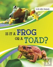 Is It A Frog Or A Toad?