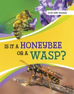 Bertrand.pt - Is It A Honeybee Or A Wasp