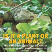 Is It A Plant Or An Animal? How Do Scientists Identify Plants And Animals? | Compare And Contrast Biology Grade 3 | Children'S Biology Books